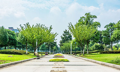 Outdoor Campuses — Campus environments